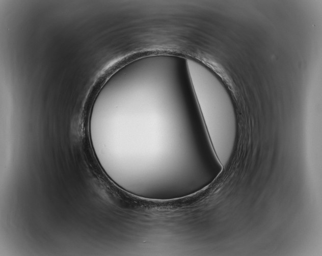 X0000087360628200704200826
