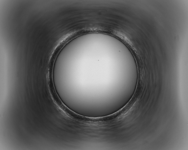 X0000087360629200704200826