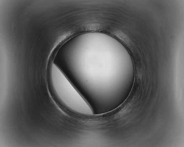 X0000087360630200704200826