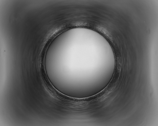 X0000087360631200704200826
