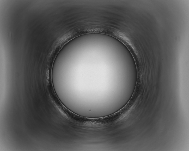 X0000087360633200704200826