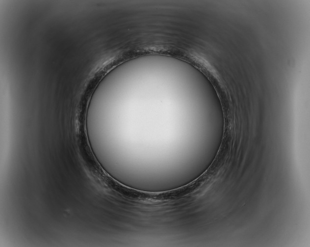X0000087360635200704200826
