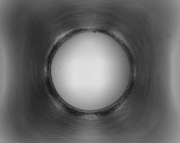 X0000087360636200704200826