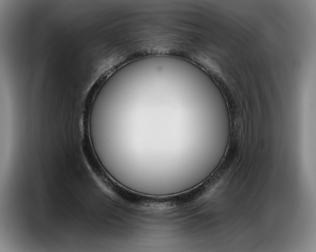 X0000087360638200704200826