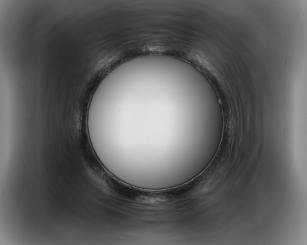 X0000087360639200704200826
