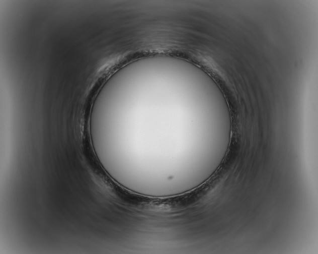 X0000087360640200704200826