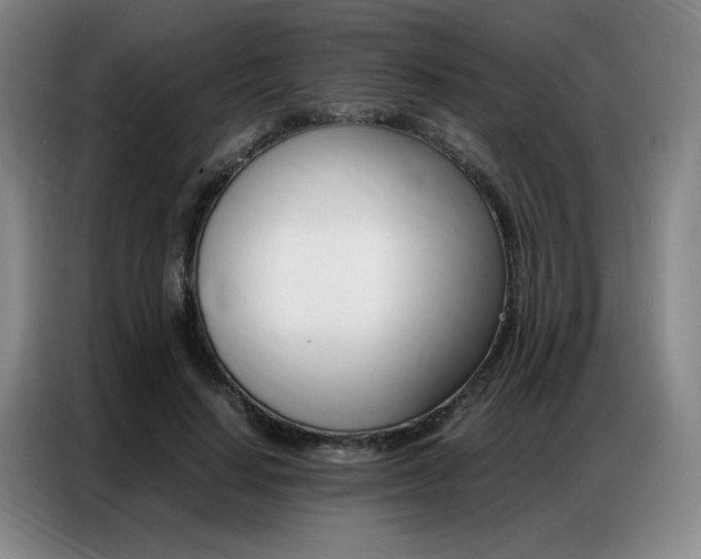 X0000087360644200704200826