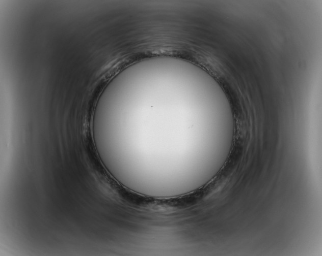 X0000087360648200704200827