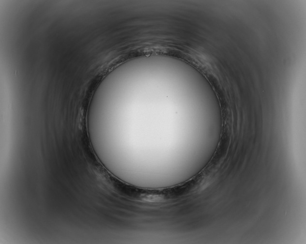 X0000087360649200704200827