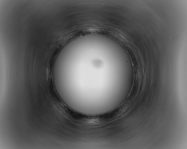 X0000087360651200704200827