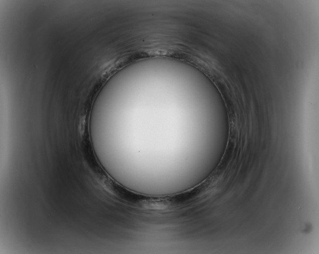 X0000087360652200704200827