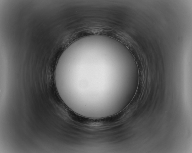 X0000087360653200704200827