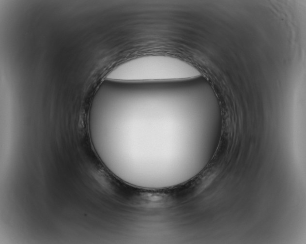 X0000087360654200704200827