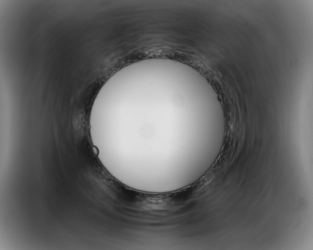 X0000087360659200704200827
