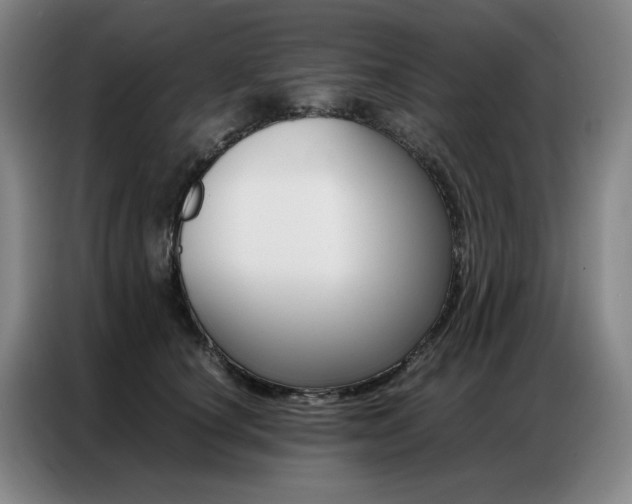 X0000087360660200704200827