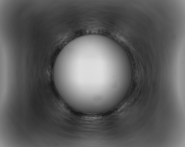X0000087360661200704200827