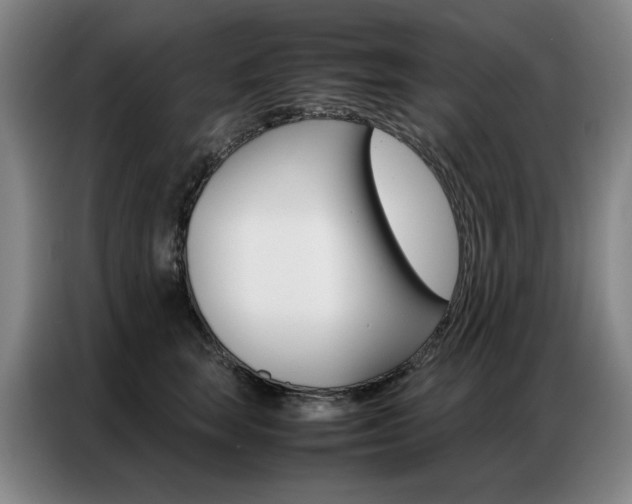 X0000087360663200704200827