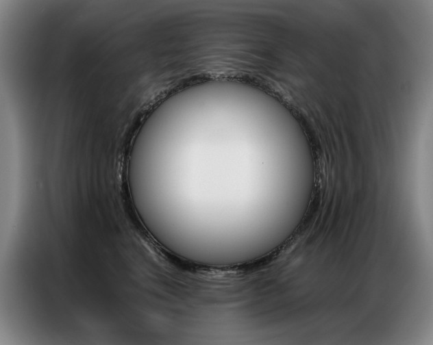 X0000087360664200704200827