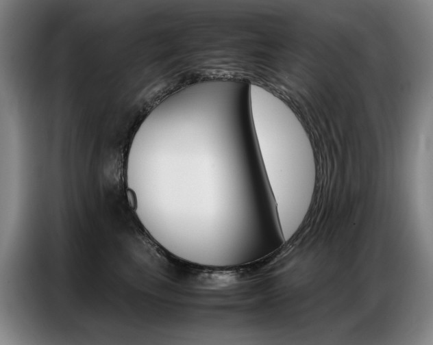 X0000087360665200704200827