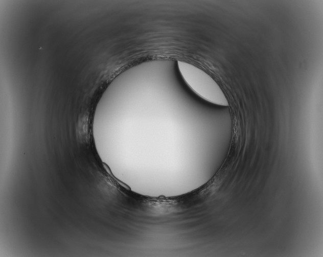 X0000087360670200704200827