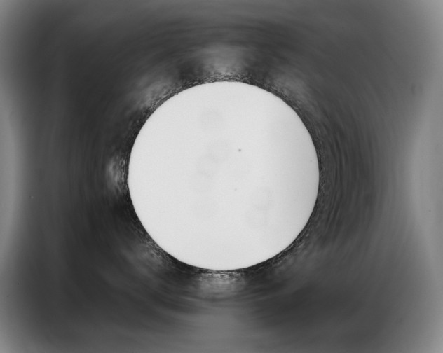 X0000087360672200704200827