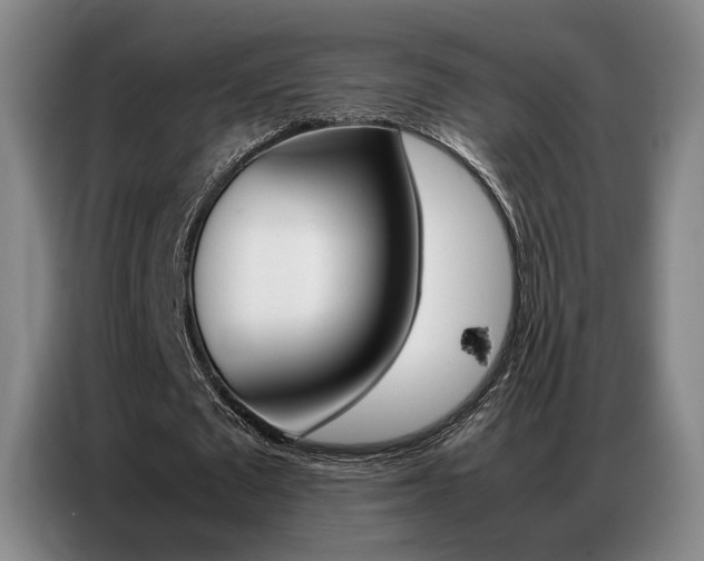 X0000087360673200704200826