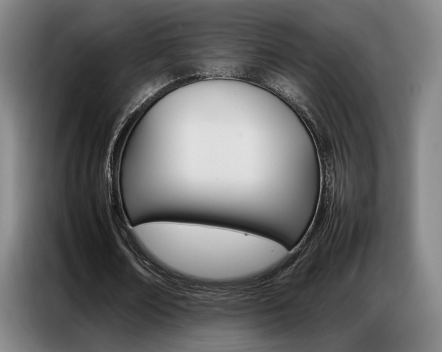 X0000087360674200704200826