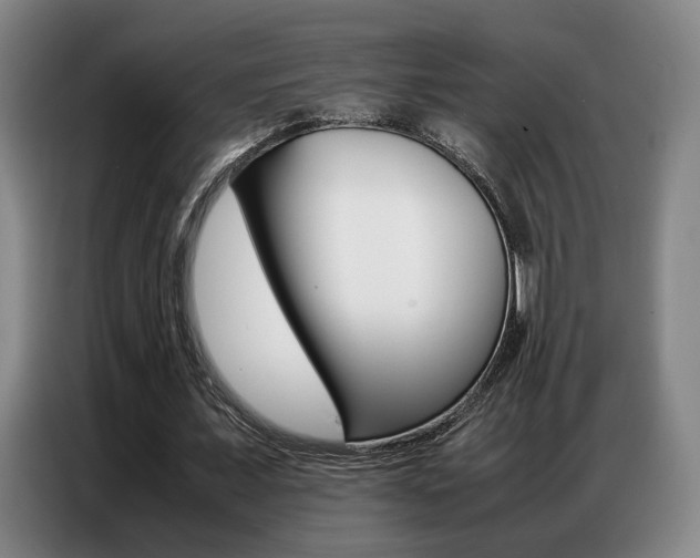 X0000087360675200704200826