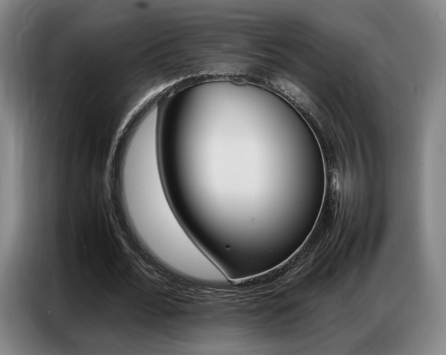 X0000087360676200704200826