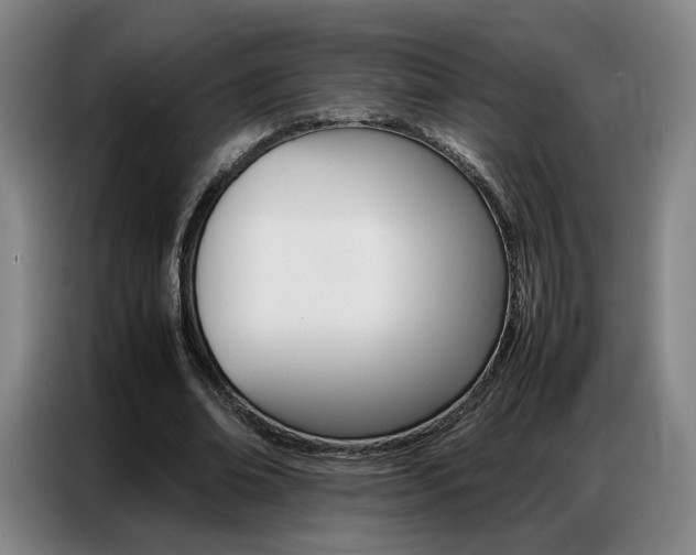 X0000087360678200704200826