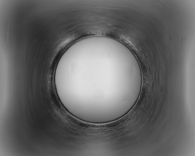 X0000087360679200704200826