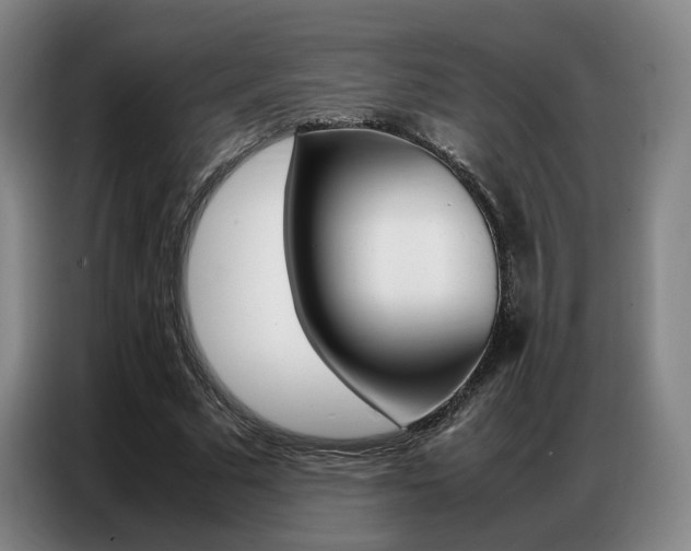 X0000087360681200704200826