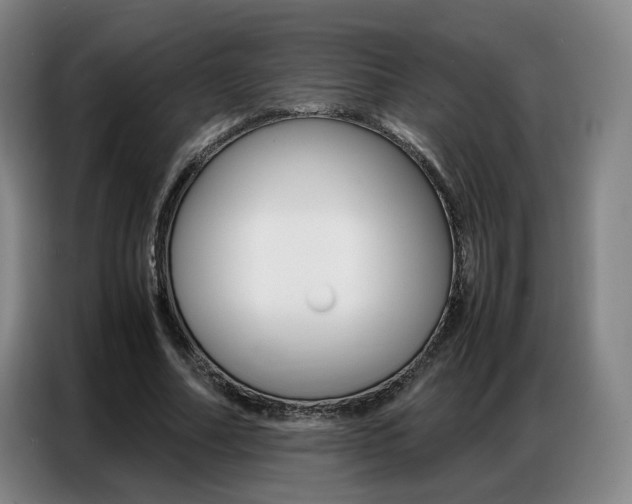 X0000087360682200704200826