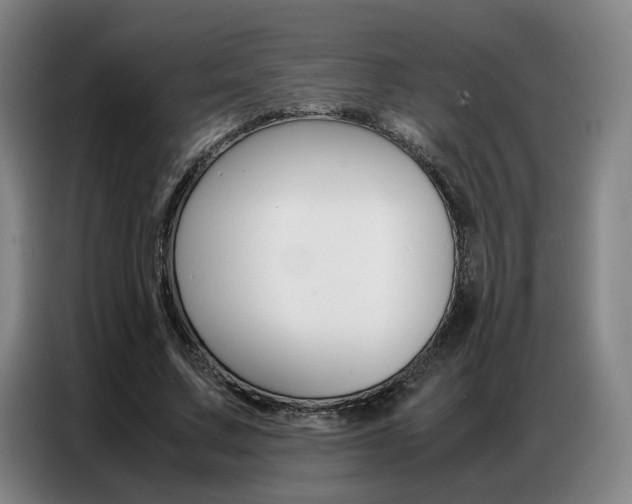 X0000087360683200704200826