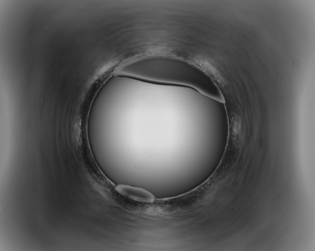 X0000087360684200704200826