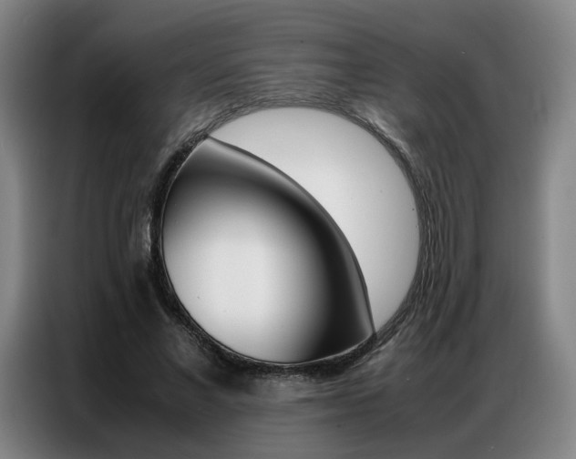 X0000087360685200704200826