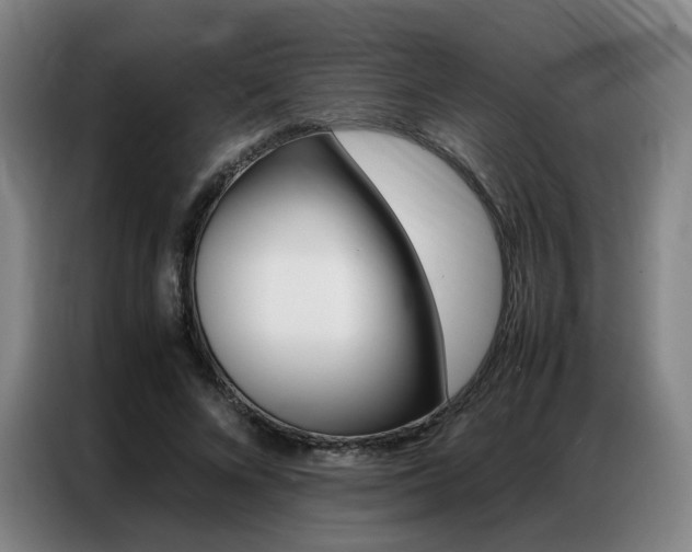 X0000087360688200704200826