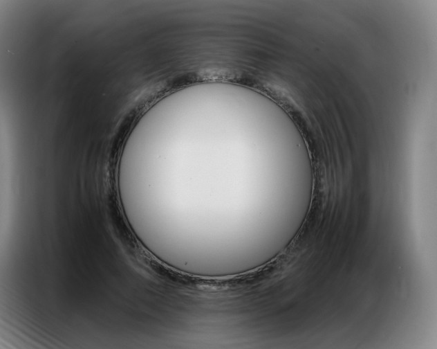 X0000087360690200704200826