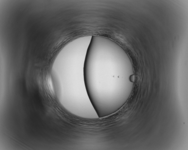 X0000087360691200704200826