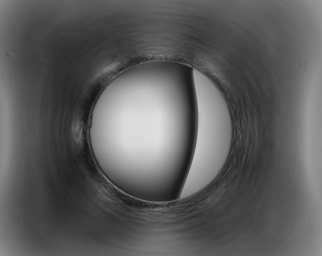 X0000087360692200704200826