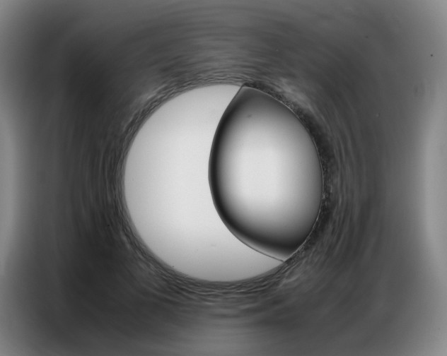 X0000087360693200704200826
