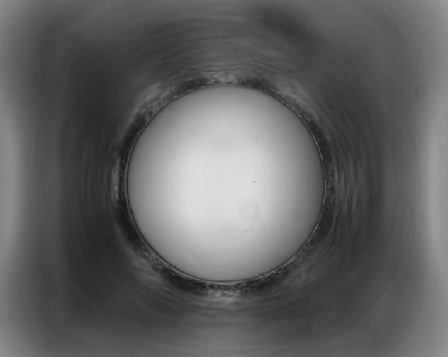 X0000087360694200704200826