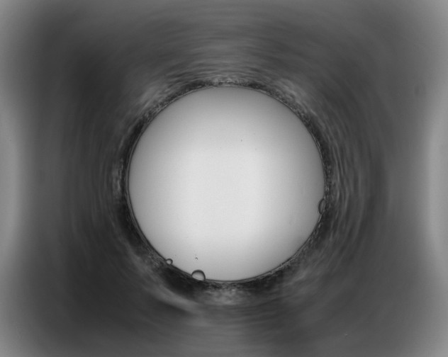 X0000087360695200704200826