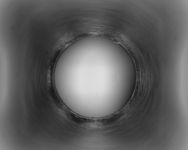 X0000087360696200704200826
