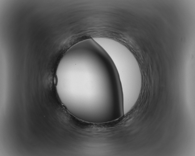 X0000087360697200704200826