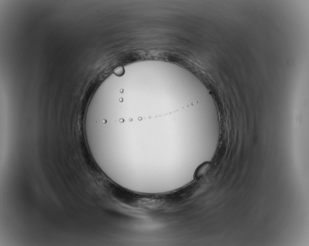 X0000087360699200704200826