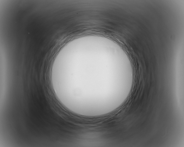 X0000087360701200704200826