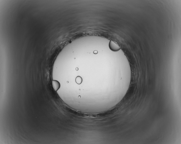 X0000087360703200704200826