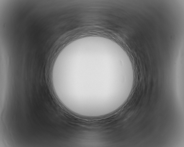 X0000087360705200704200826