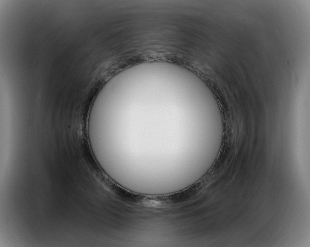 X0000087360706200704200826
